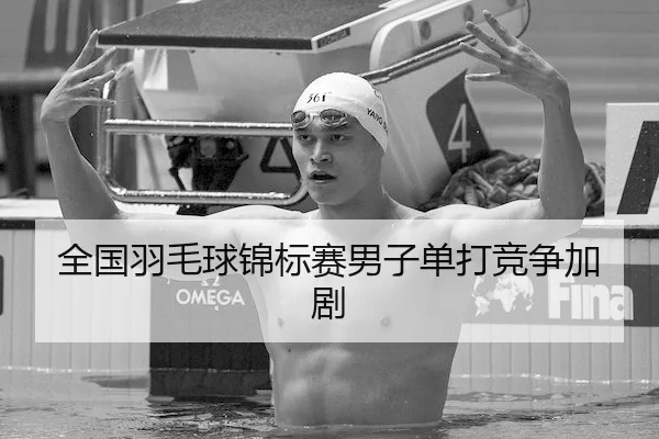 全国羽毛球锦标赛男子单打竞争加剧